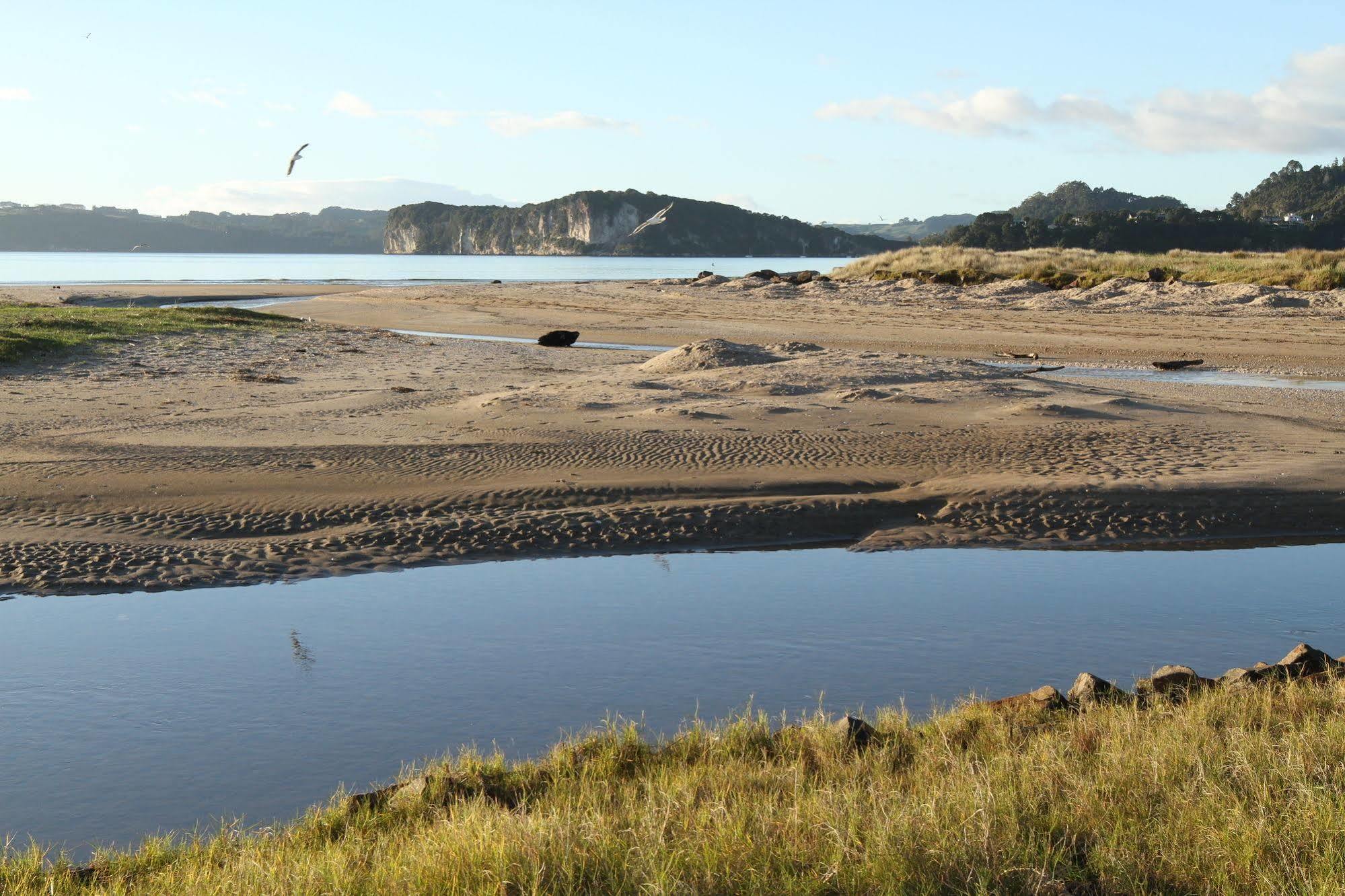 Admiralty Lodge Motel Whitianga Buitenkant foto