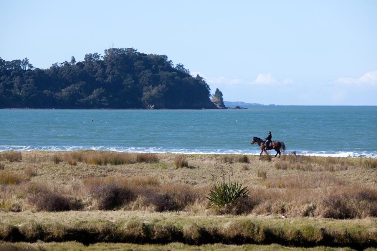 Admiralty Lodge Motel Whitianga Buitenkant foto